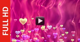 Royalty Free Green & Pink Background Love Animation Motion Video Effect