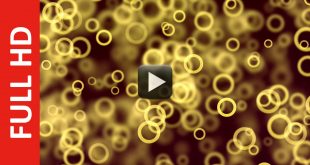 Golden Particles Circle Ring Animation Background Video Effect