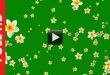 Flower Green Background Video Effects HD