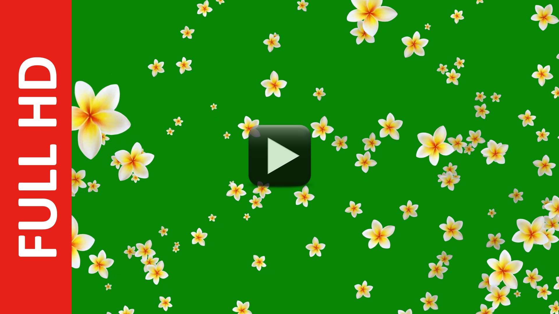 Flower Green Background Video Effects HD | All Design Creative