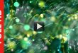 New Animation Moving Background | Ribbon Particles Motion Background Video Effect