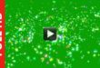 Particles Glitter Stars in the Universe Green Screen Background