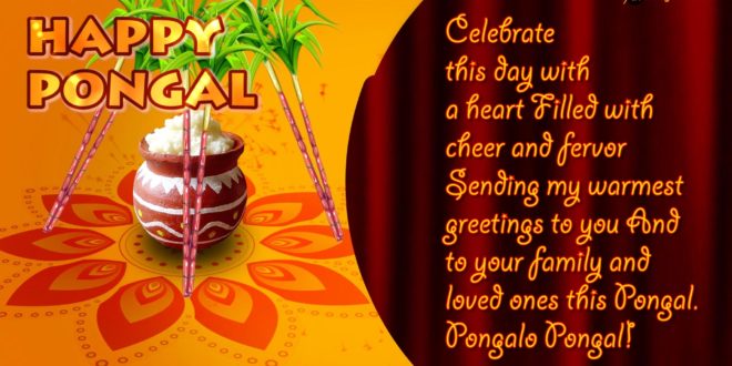 Happy Sankranti Greeting Cards Animated and Pongal Whatsapp Status