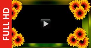 Multi Color Title Frame Background Video Effect HD 1080p