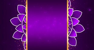 Free Wedding Invitation Title Animated Background Video Effects