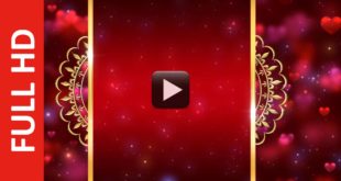 Royal Intro Title Wedding Invitation Background Video Effects HD