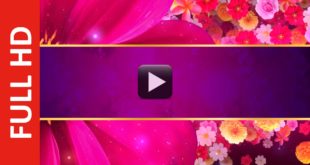 Royalty Free Flower Title Introduction Video Background Effect HD Loop