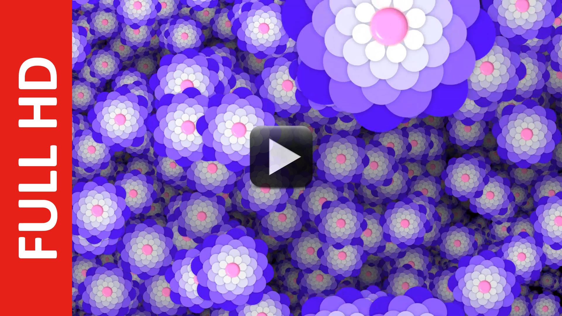 Animated Falling Flowers Backgrounds