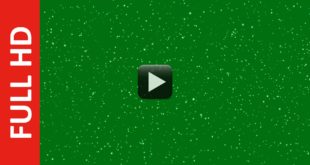 Free Glitter Particles Animation Green Screen Background Loop Video Effect