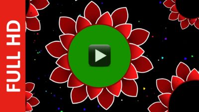 Vector Flower Wedding Background Frame Green Screen All Design