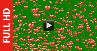 Flying Hearts Green Screen Background Video Effect HD