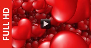 Moving Red Love Hearts Animation Background