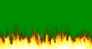 Fire Green Screen Animation Video 1080P