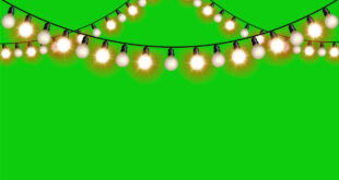 Light Bulb String Animation Green Screen No Copyright Footage | Christmas / New Year Light Animation