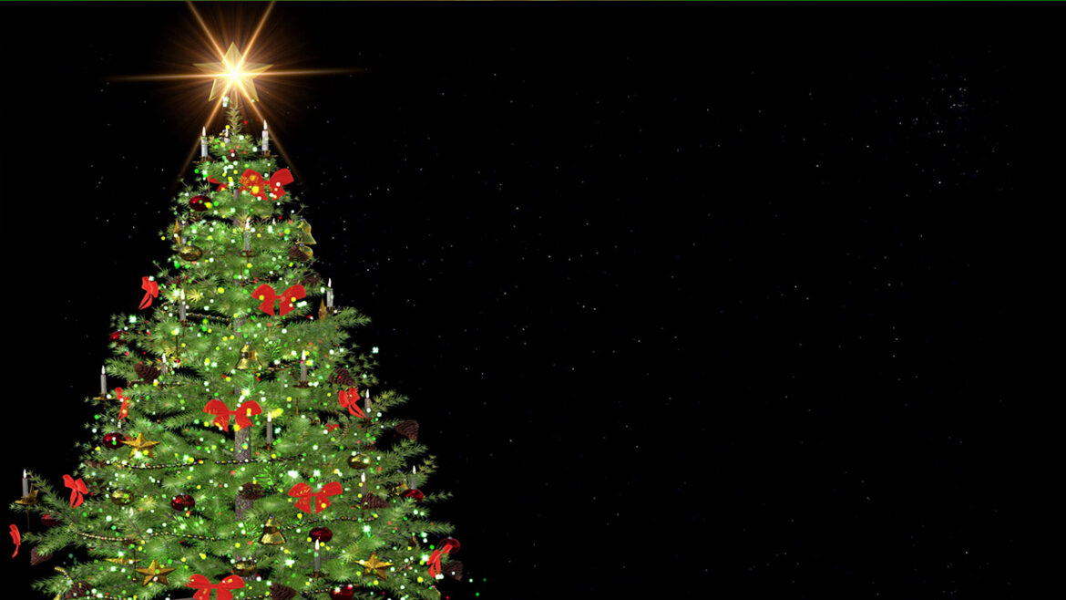 XMAS Tree Light Animation Green, Blue, Black Screen Background- Christmas Tree New Year Screen Video