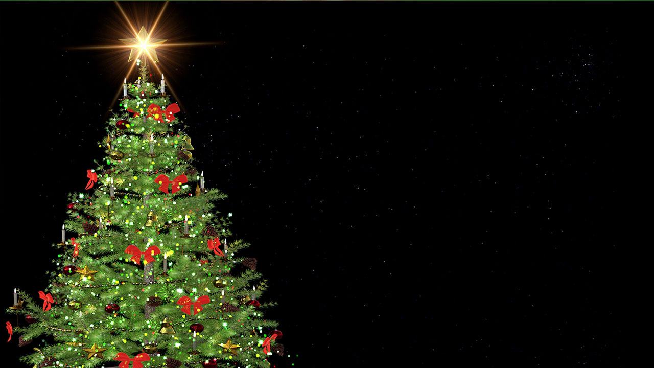 Celebrate the holidays with Xmas tree background green For a festive ...