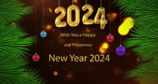 We Wish You a Merry Christmas Everyone and New Year 2024 | New & Old Looks Greetings
