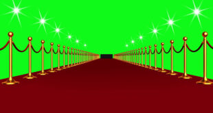 Free Animation of Golden Rope Barrier with Red Carpet Event Walk in Green Screen