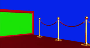 Wedding Background Green Screen Frame On Red Carpet Event Side Walk Animation In Blue Screen Effect