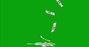 Dollars Money Falling Green Screen No Copyright Video Footage