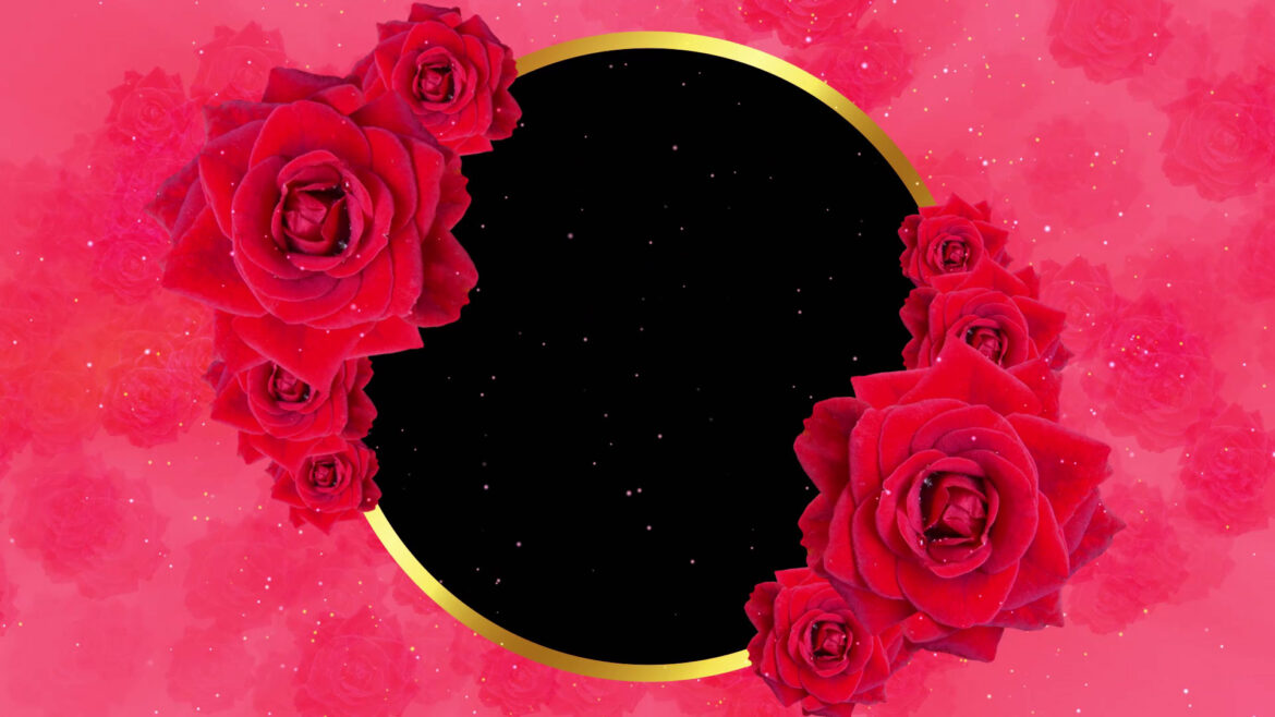 Rose Flower Wedding Frame Animation in Black Screen Background Video Rose Flower Wedding Frame Animation in Black Screen Background Video
