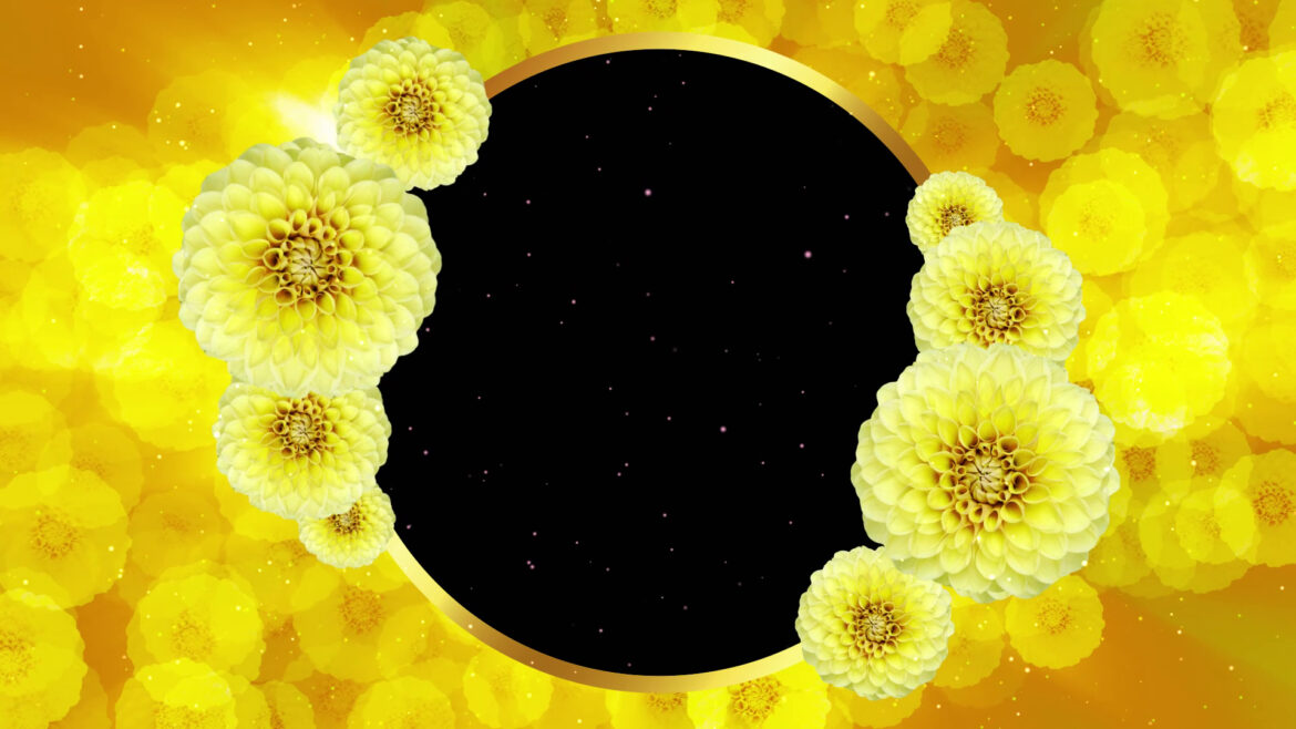 Wedding Frame Slideshow Template Free Download Wedding Frame Slideshow Template Free Download