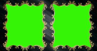 GOLD Green Screen Wedding FRAME Noncopyrighted Video HD 1080p