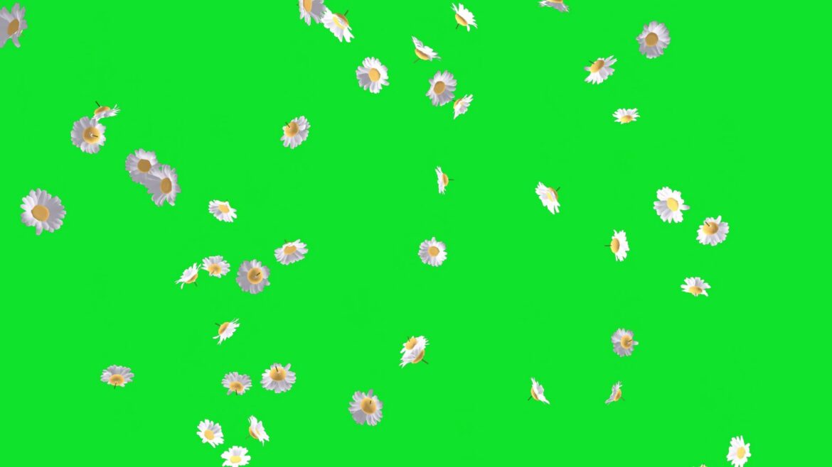 Falling Animation Flowers Green Screen and Black Screen Video No Copyright Footage Falling Animation Flowers Green Screen and Black Screen Video No Copyright Footage