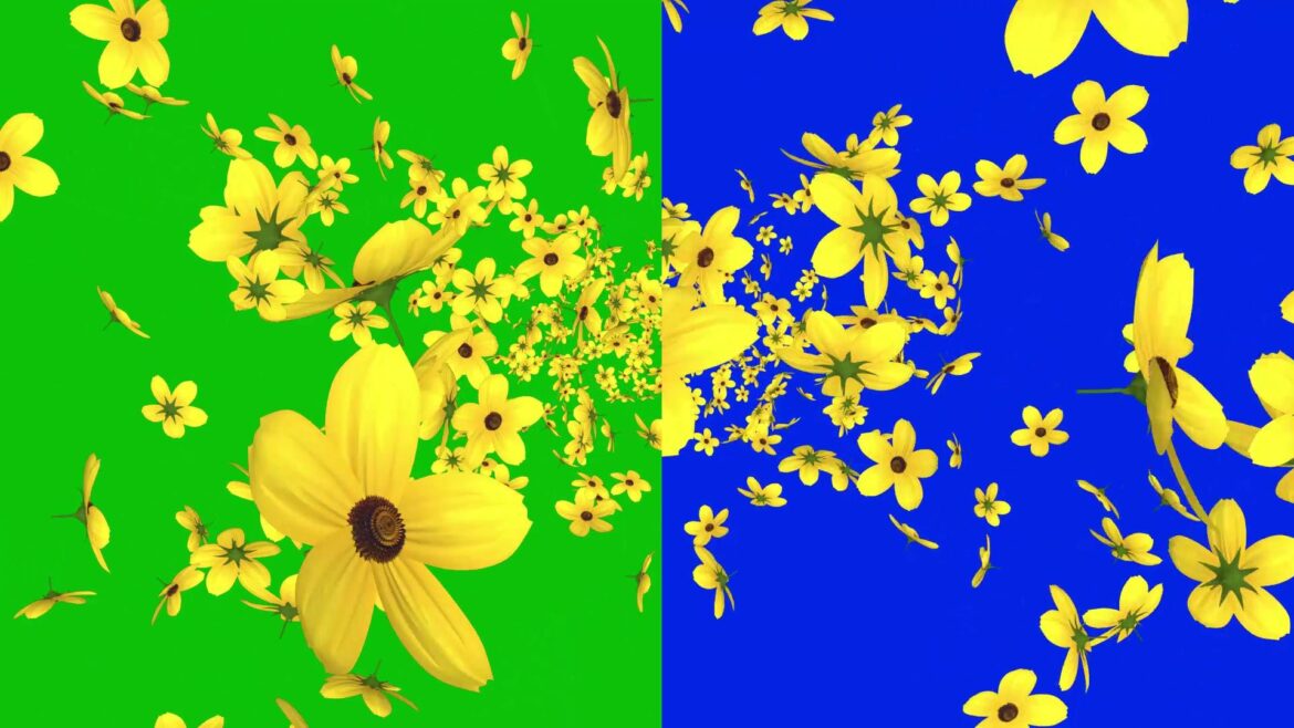 Falling Flowers Animation from Sky Green Screen and Blue Screen Video Effects HD
