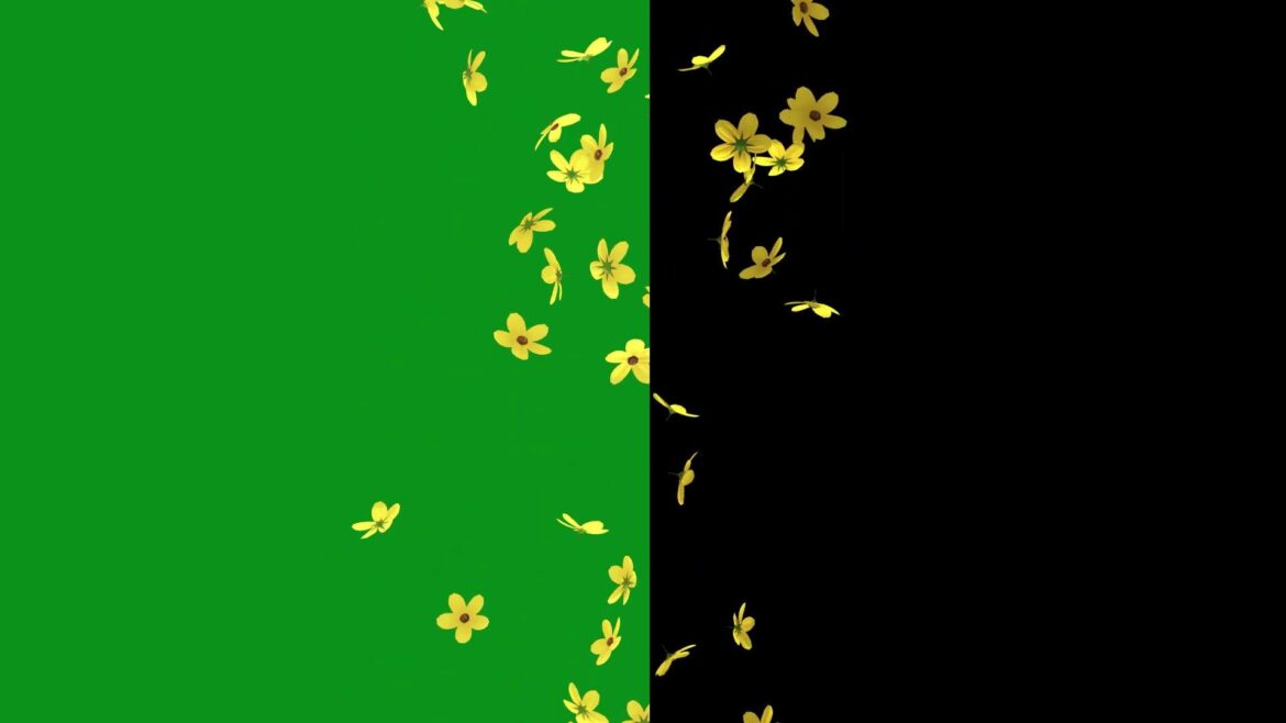 Flowers Falling Animation Black Screen Effect | Flowers Falling Animation Green Screen Free Effects Flowers Falling Animation Black Screen Effect | Flowers Falling Animation Green Screen Free Effects