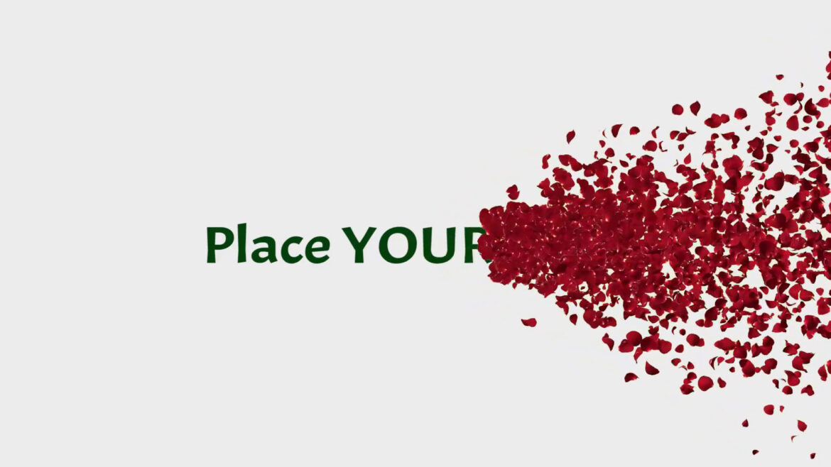 Romantic Wedding Title Rose Petals Animation Green Screen and White Screen Background Video Footage Romantic Wedding Title Rose Petals Animation Green Screen and White Screen Background Video Footage