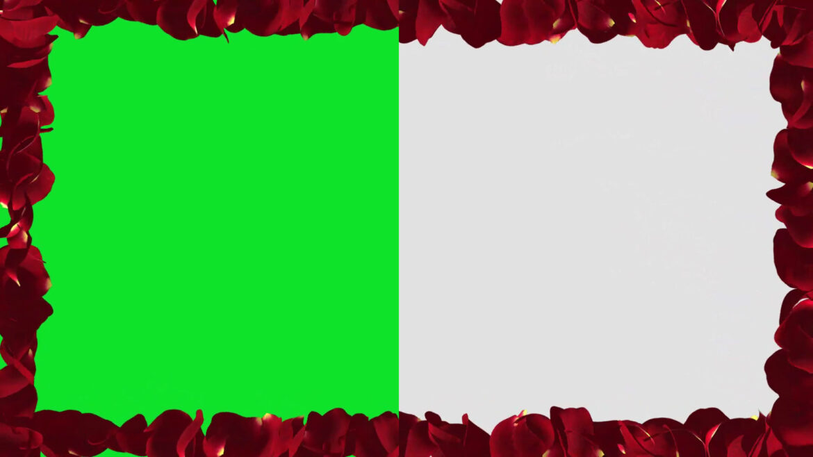 Rose Petals Wedding Frame Green Screen Video | Title Wedding Frame Animation on White Background Rose Petals Wedding Frame Green Screen Video | Title Wedding Frame Animation on White Background