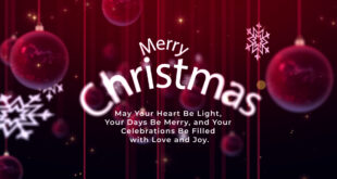 Merry Christmas and A Happy New Year 2024 Wishes Best Greetings Video